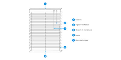 schema store