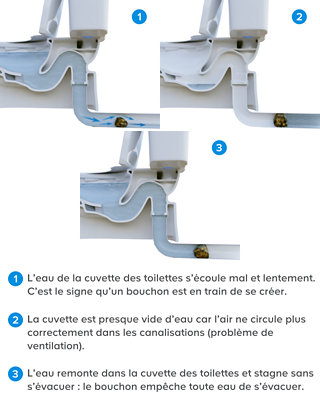 Le fonctionnement de l’évacuation d’un WC