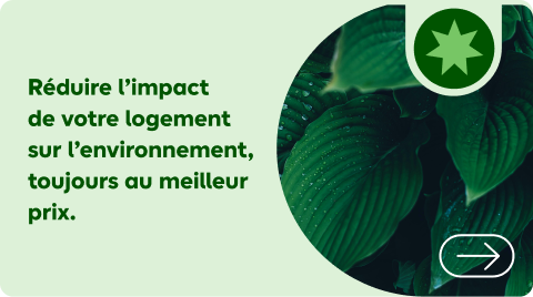 Nos solutions pour une maison plus saine, économe et proche de la nature pour tous.